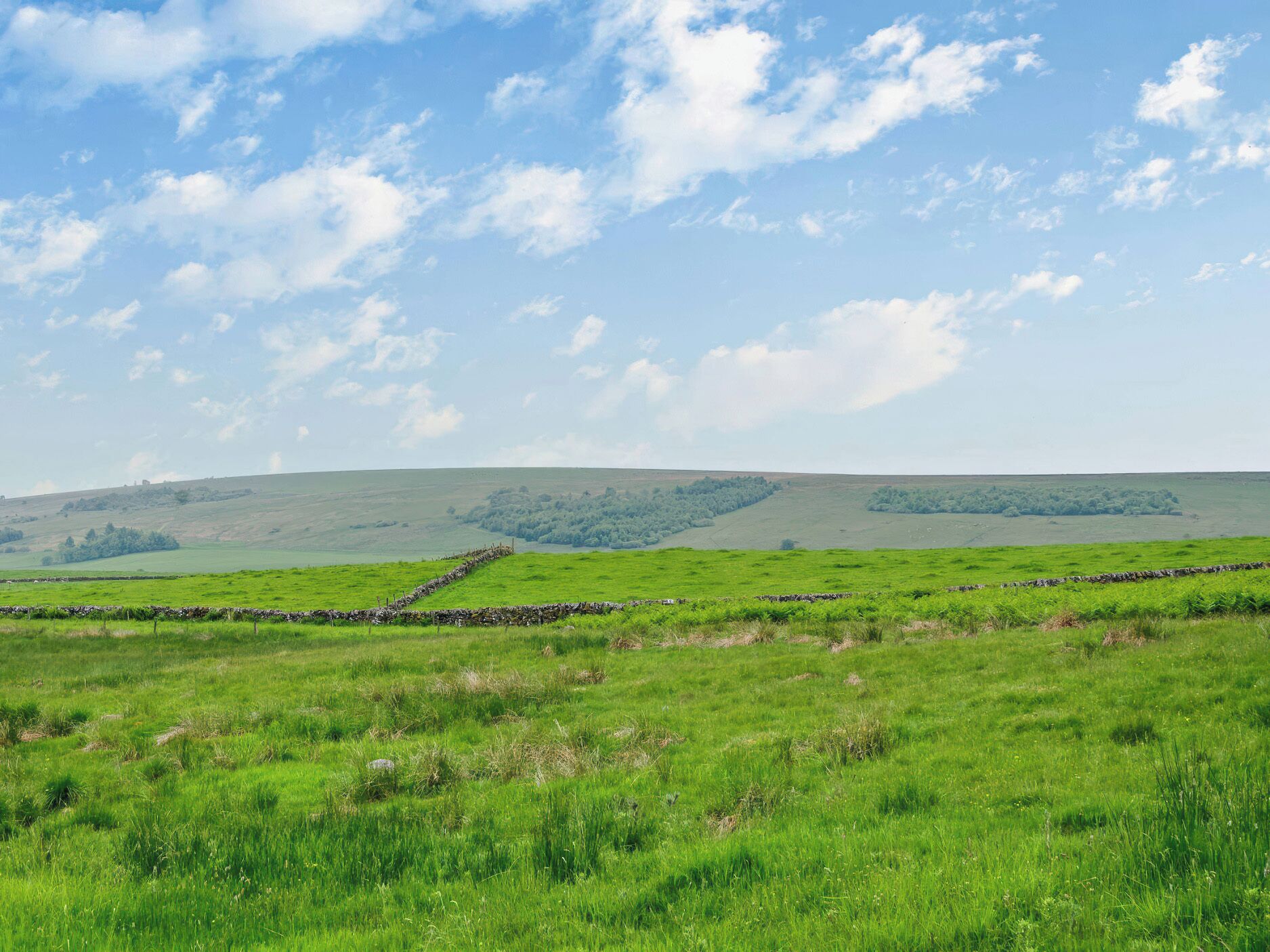 A grassy field with stone walls and a clear sky.