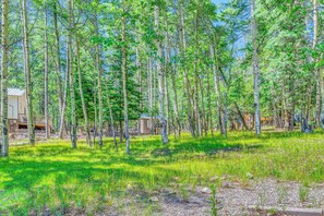 A forested area with a small building, possibly a cabin or lodge, surrounded by tall trees and grassy ground. - Hike & Ski! Quiet Home w/ Solarium in Cloudcroft (Cloudcroft)