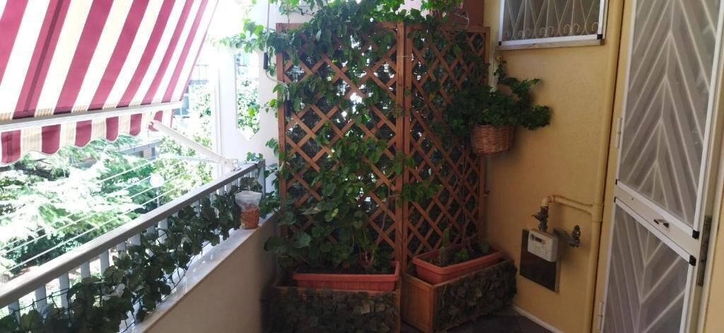 Classic Single Room, Garden View | Property grounds
