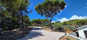 A paved pathway flanked by trees leading to a gated entrance. - Cosy apartment in villa for 4 guests with A/C, WIFI, TV, patio and panoramic view, close to Impe... (San Bartolomeo Al Mare)