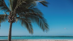 Beach - Bonsai Studio-Bliss 304 (Noord)