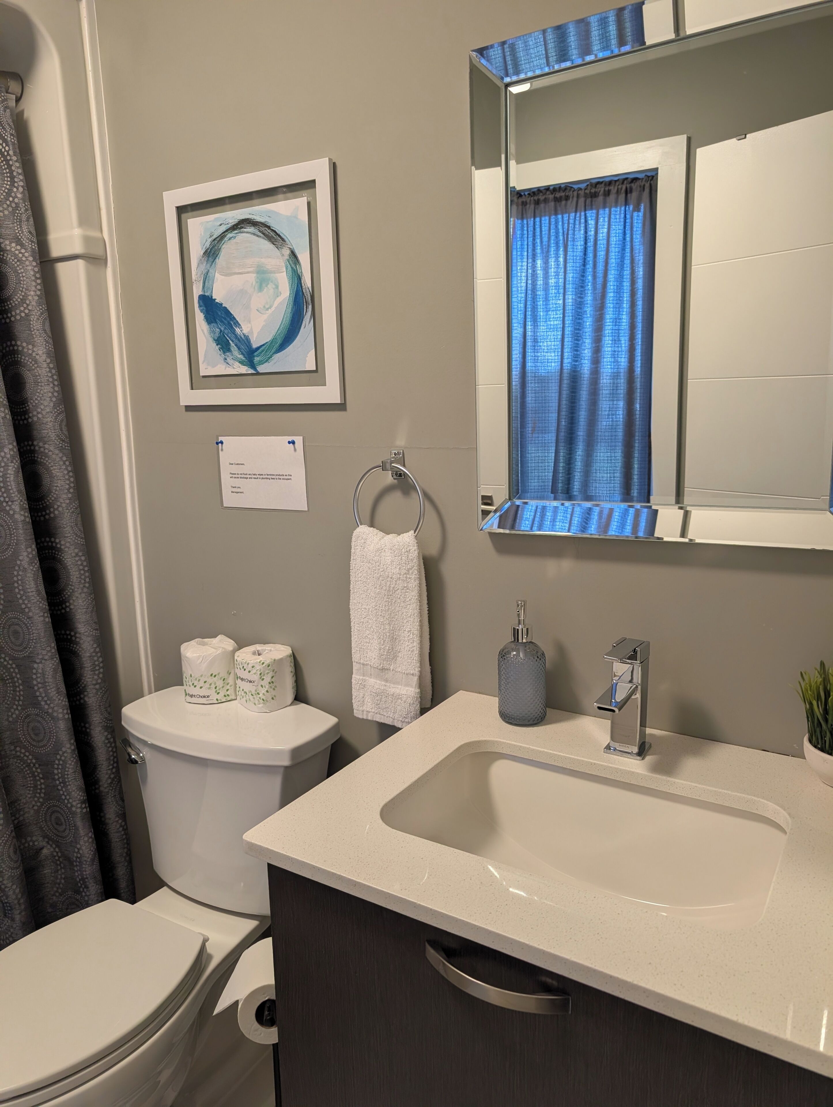Hair dryer, towels