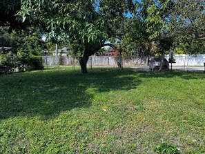 A grassy area with a tree and a fence.