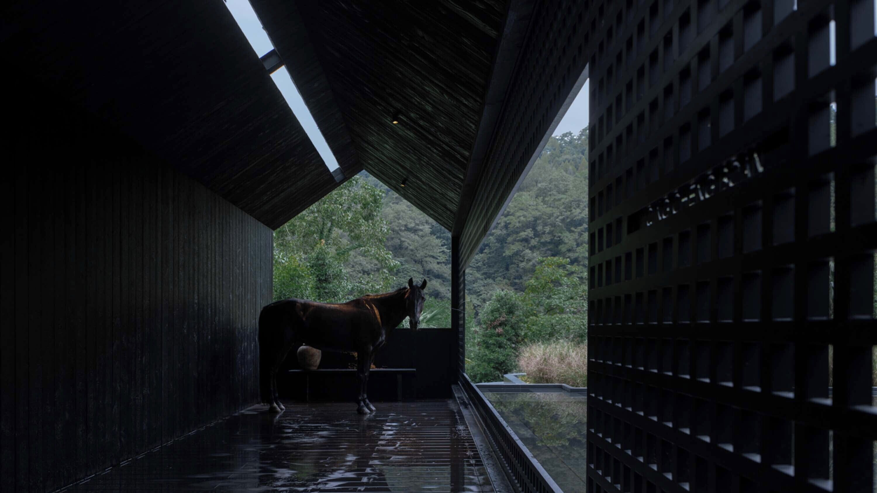 Un cheval se tient dans un espace extérieur abrité, d’où l’on peut admirer un paysage boisé.