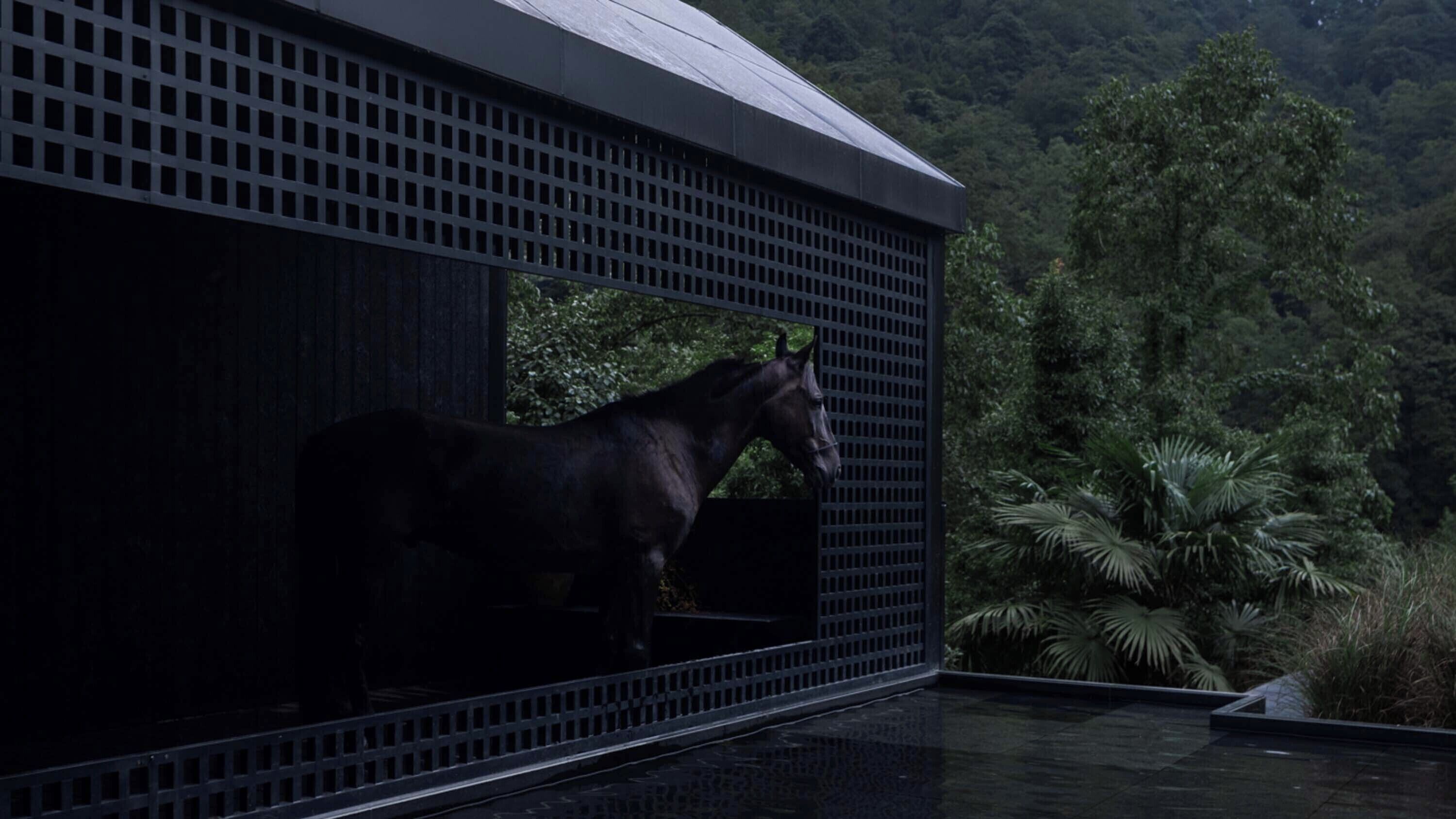 A horse inside a building with a view of a forested area.