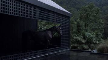 A horse inside a building with a view of a forested area.