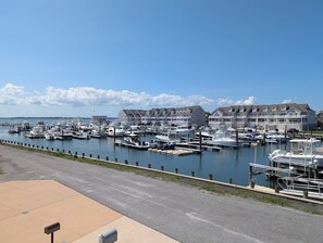 Ein Yachthafen mit mehreren vertäuten Booten, blauem Himmel und einer Reihe von Gebäuden im Hintergrund.