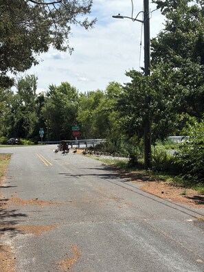 A road with a stop sign and a pedestrian crossing.