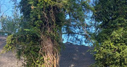 Pet-Friendly Pond Cottage • Nature Escape Near Beaches