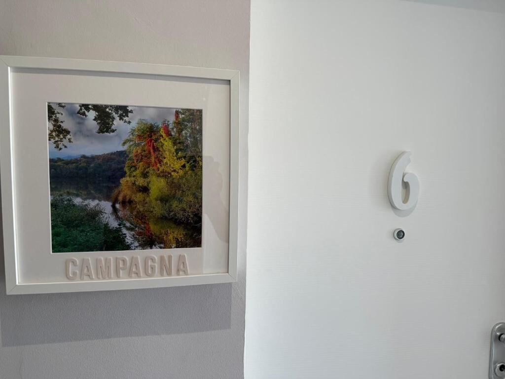 A framed photograph of a landscape with a river and trees, mounted on a wall.