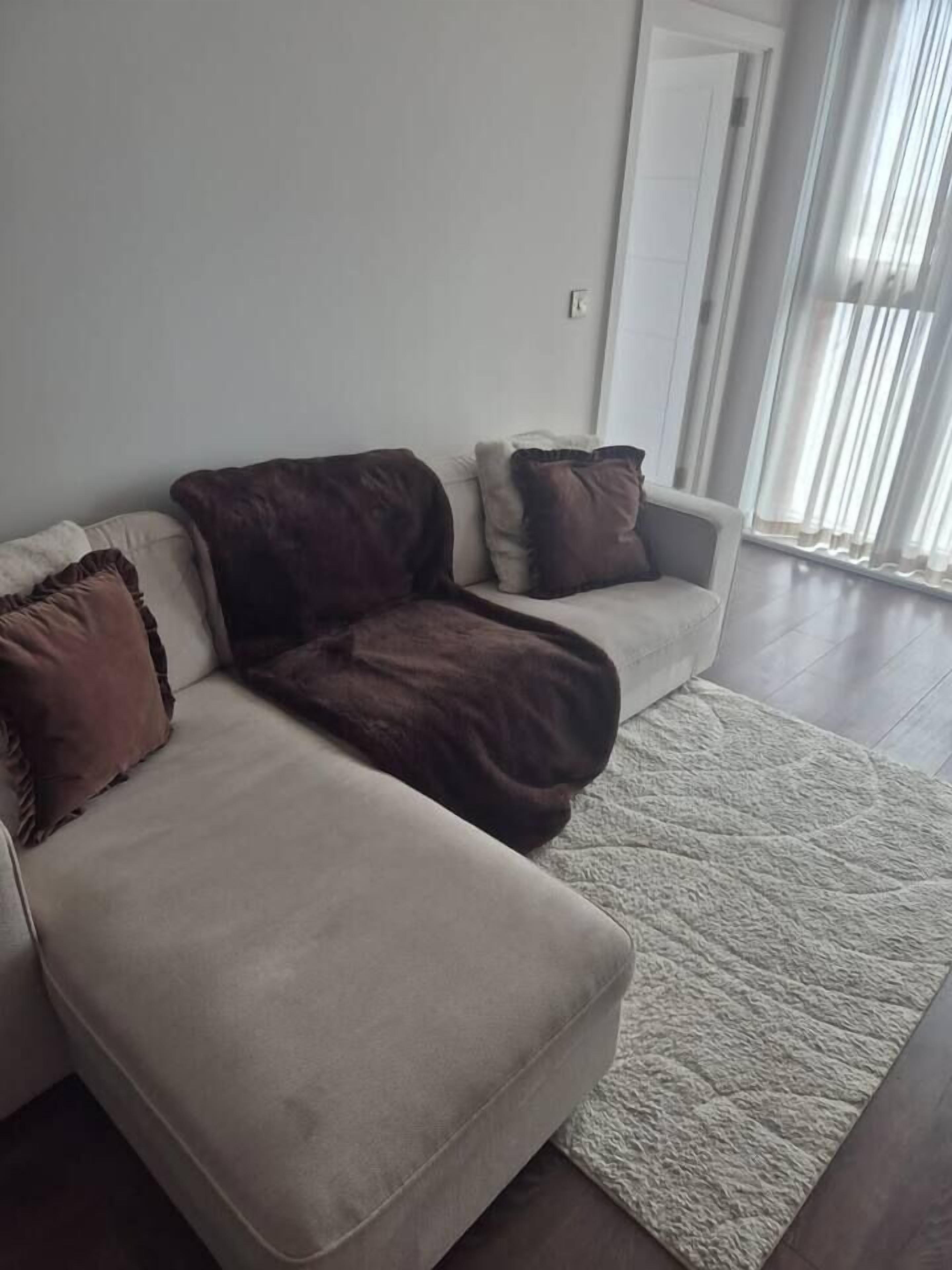 A living room with a beige sofa, two brown throw pillows, and a white rug.