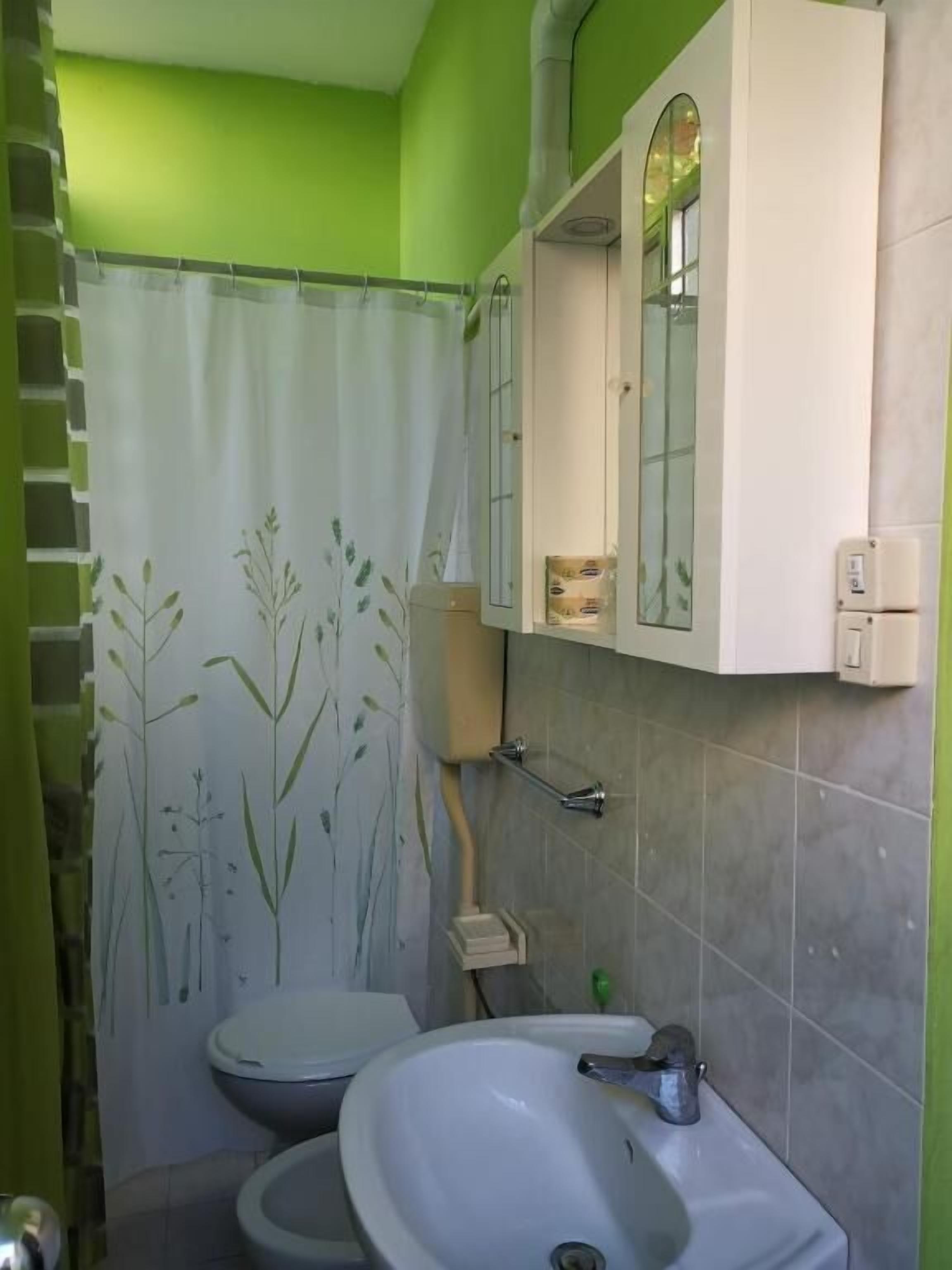 Un baño con cortina de ducha, inodoro, lavamanos y espejo sobre el lavamanos.