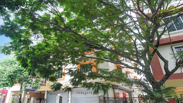 Un edificio residencial con un portón cerrado, un árbol al frente y cielo despejado.