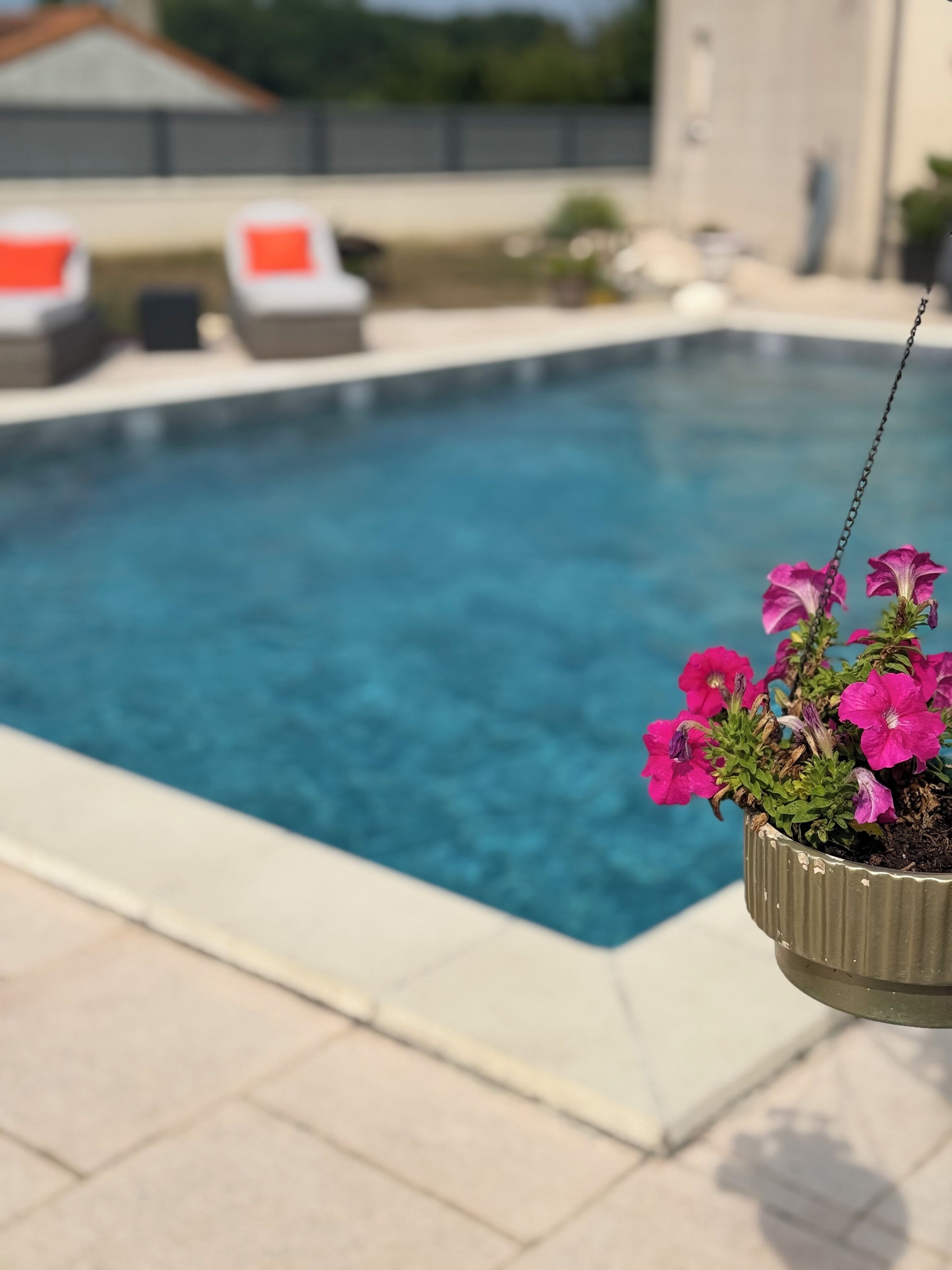 A swimming pool with a hanging flower pot.