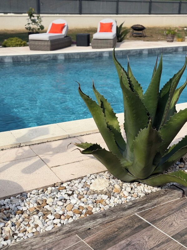 A pool area with a large agave plant, lounge chairs, and a tiled deck.