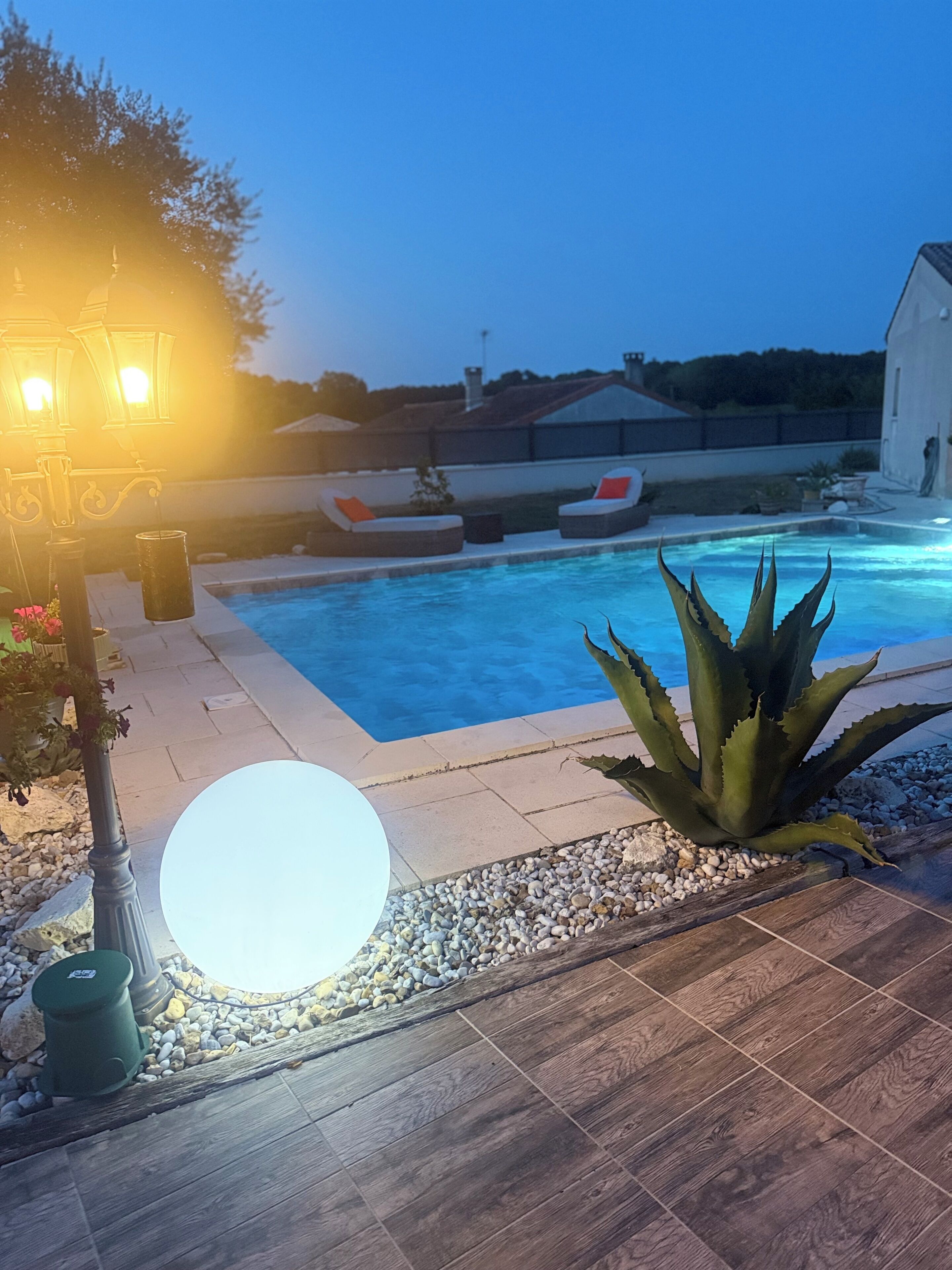 Una piscina con un borde empedrado, una farola y una planta de aloe grande.