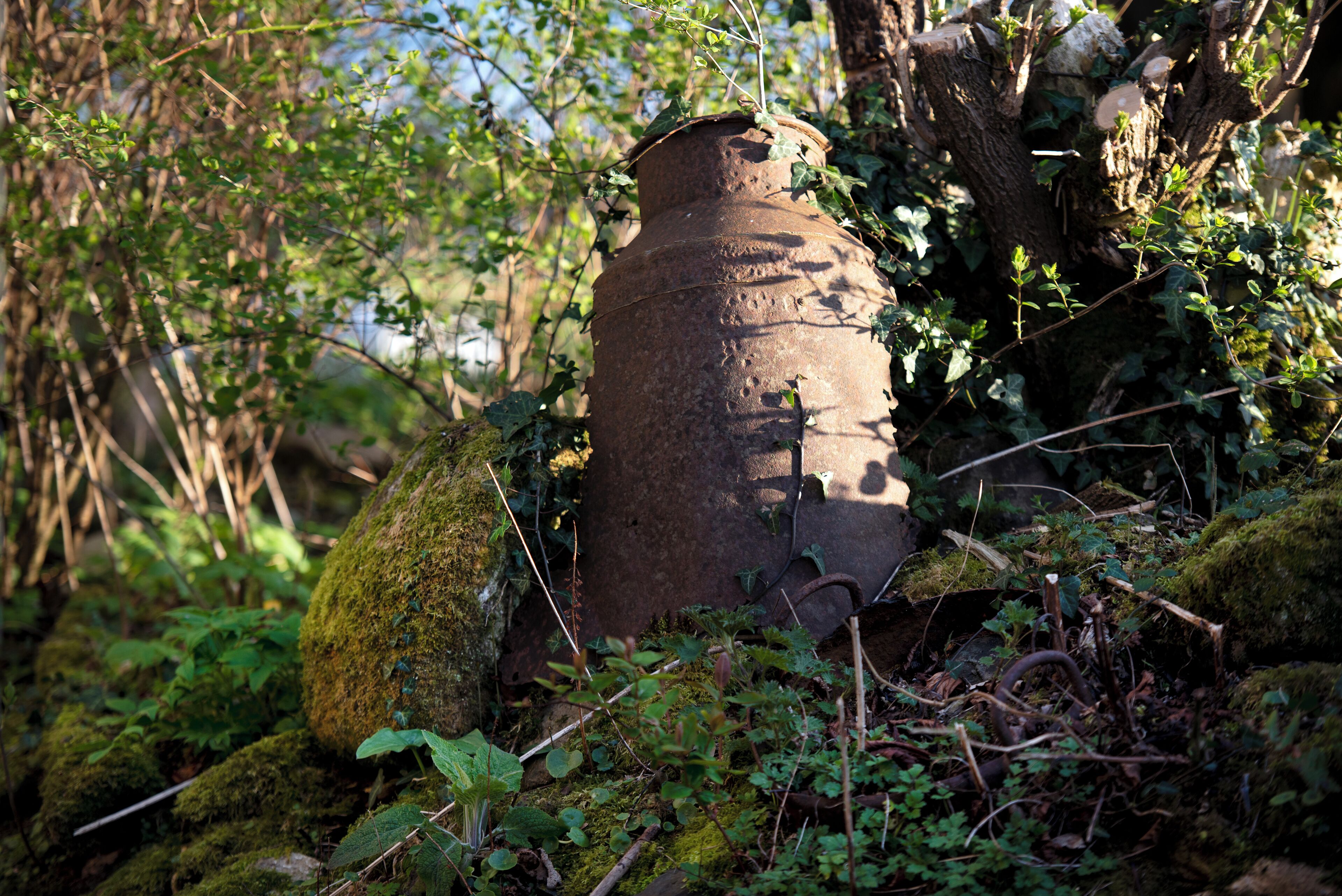 A moss-covered stone structure surrounded by dense foliage.