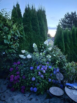 A garden with dense foliage, a variety of flowers, and a small table with a glass. - Guesthouse 'Eifelglück' with Private Terrace, Garden, and Wi-Fi (Großlittgen)
