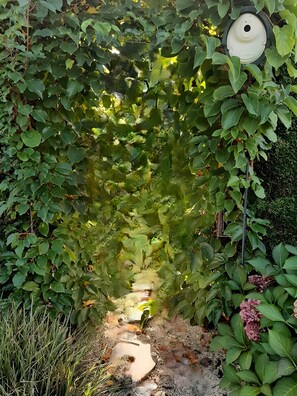 En trädgårdstig omgiven av tät vegetation, som leder fram till en byggnad med ett runt tak.