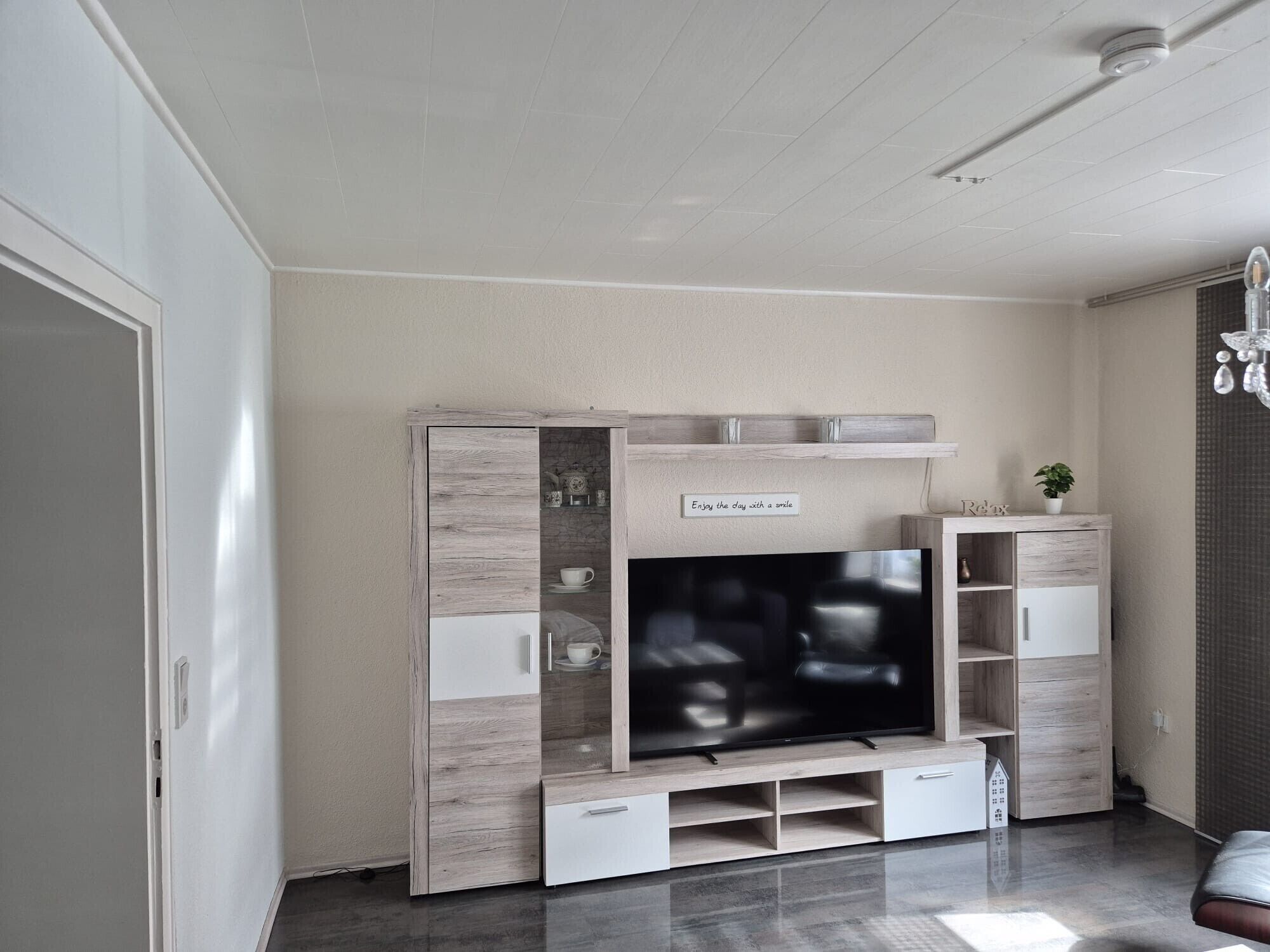 Ein Wohnzimmer mit Flachbildfernseher, Holz-TV-Möbel und einer kleinen Pflanze auf einem Regal.