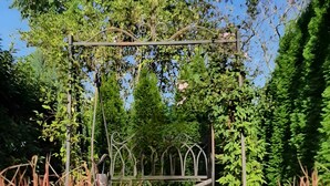 A garden pathway with a metal archway, surrounded by lush greenery and tall grasses. - Guesthouse 'Eifelglück' with Private Terrace, Garden, and Wi-Fi (Großlittgen)