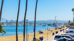 Una platja amb palmeres, un port esportiu i un paisatge urbà al fons.