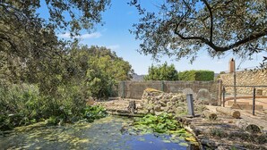A naturalistic enclosure with a pond, rocks, and dense foliage. - Country House 'Apartamento Curto' with Mountain View, Shared Pool and Wi-Fi (El Perelló)