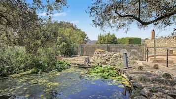 Área da propriedade