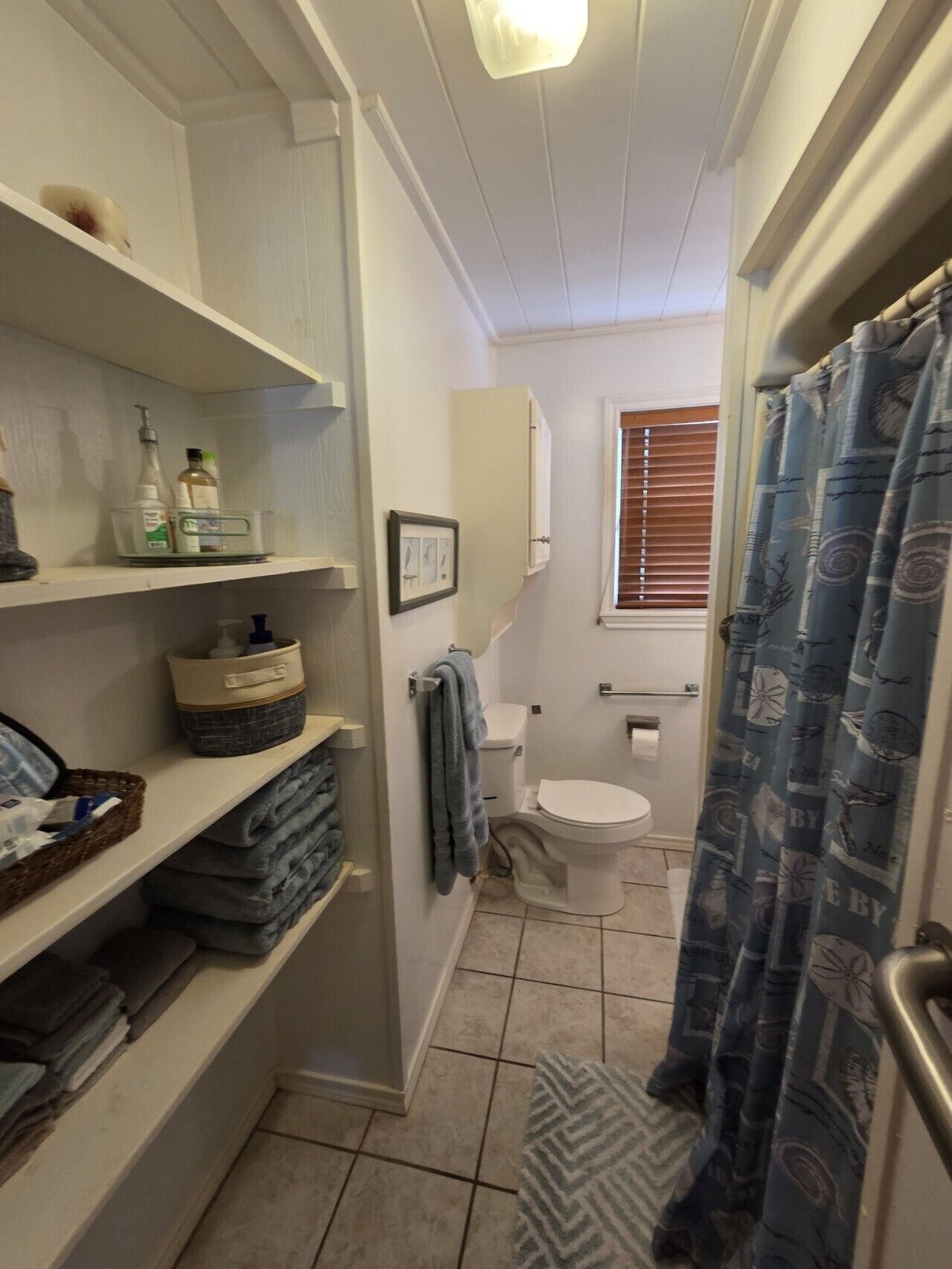 A bathroom with a toilet, a sink, a mirror, and shelves with toiletries.