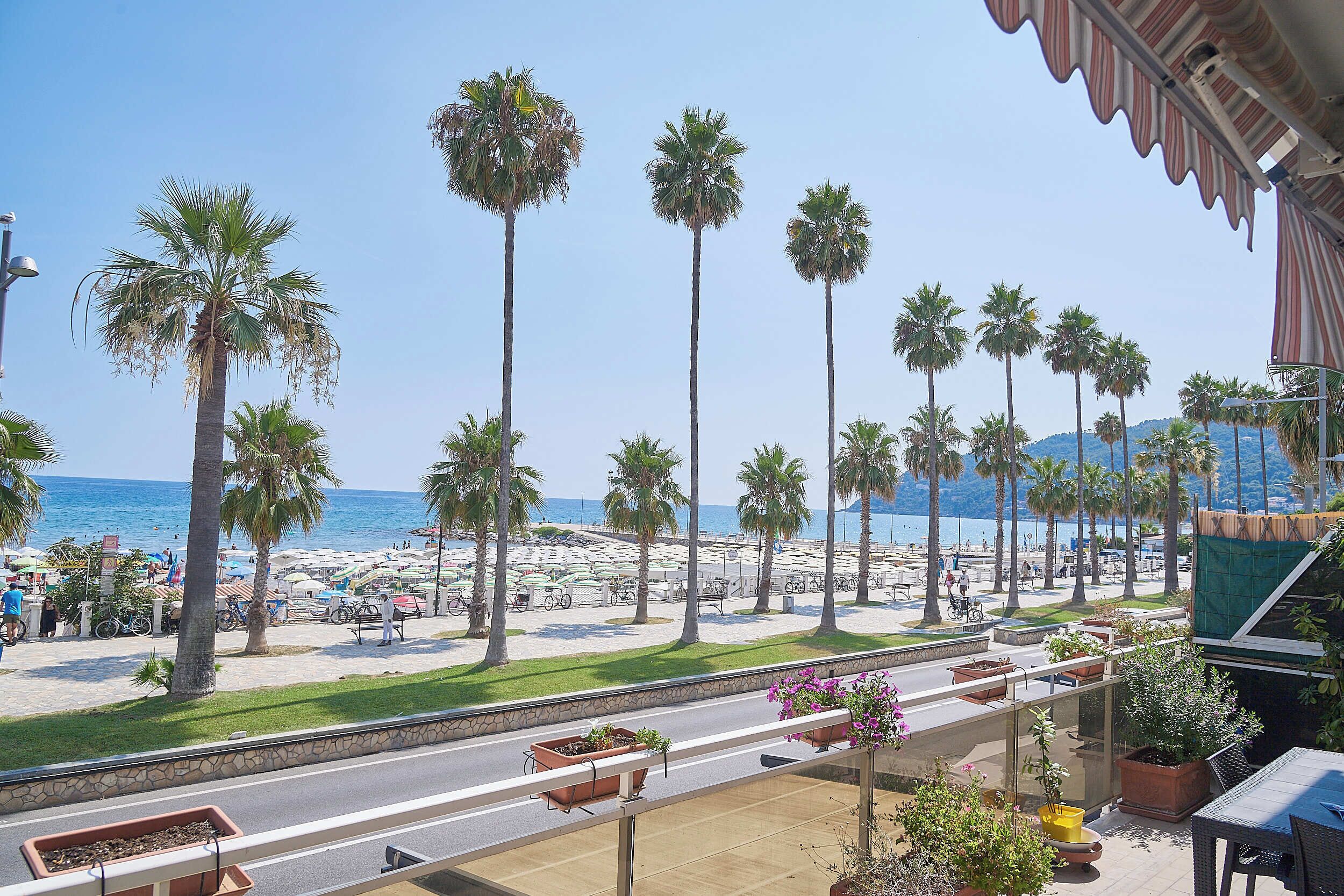 Une vue sur la mer depuis la plage, avec des palmiers, une promenade et un panorama sur l’océan.