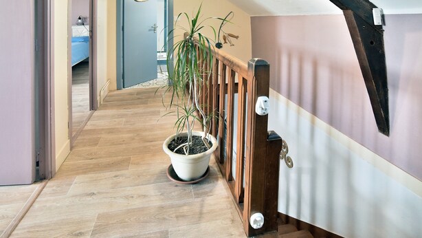 Una escalera de madera con una planta en maceta que conduce a una habitación con una cama y un baño.