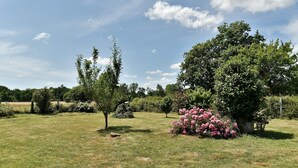 Un campo cubierto de hierba con árboles y un arbusto con flores rosas.