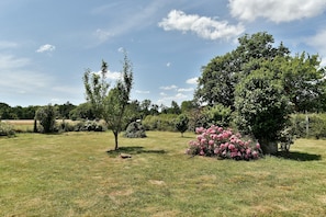 A grassy field with trees and a bush with pink flowers. - Gîte L'Hydrangea - Jolie maison en pierre pour 6 (Saint-Pierre-de-Plesguen)