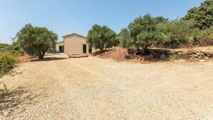 A building with a beige facade, surrounded by olive trees and a gravel driveway. - Maison de la Seranne - Avec piscine (Le Bosc)