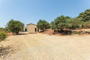A building with a beige facade, surrounded by olive trees and a gravel driveway. - Maison de la Seranne - Avec piscine (Le Bosc)