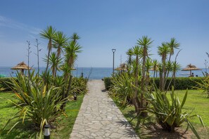 A pathway leading to a beach with palm trees and thatched umbrellas. - Le Refuge de Rena - Appart Climatisé (San-Nicolao)