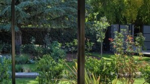 Une terrasse en bois avec un jacuzzi, entourée d’une végétation luxuriante et d’un jardin.