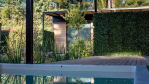 Un espace piscine extérieur moderne, doté d’une terrasse en bois, entouré d’une végétation luxuriante et d’une haute haie.