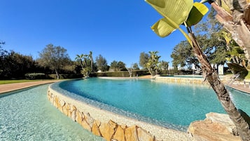 Una piscina cristalina con borde de piedra, rodeada de follaje y árboles.