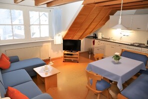 Fernseher