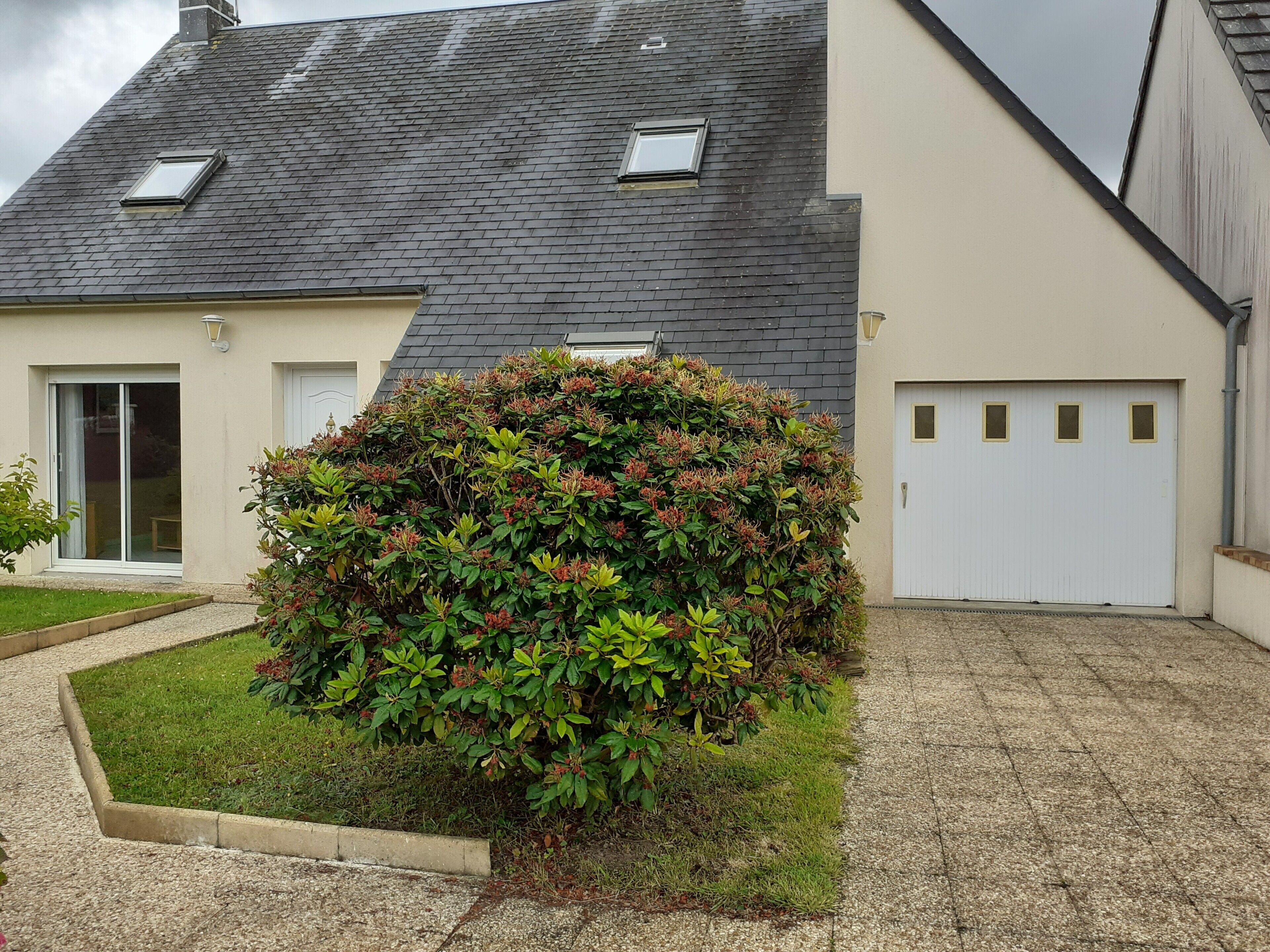 A residential building with a sloped roof, a garage, and a well-maintained garden with a bush.