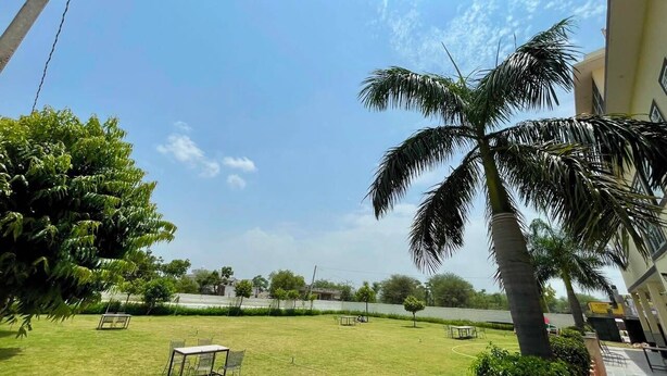 A courtyard with a palm tree, a lawn, and a building in the background.