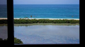 Blick auf einen Strand mit blauem Himmel, ruhiger See und einer Baumreihe im Vordergrund.