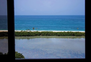 A view of a beach with a clear sky, calm sea, and a line of trees in the foreground. - Ocean Blue/ Vista y Atardeceres (Porlamar)