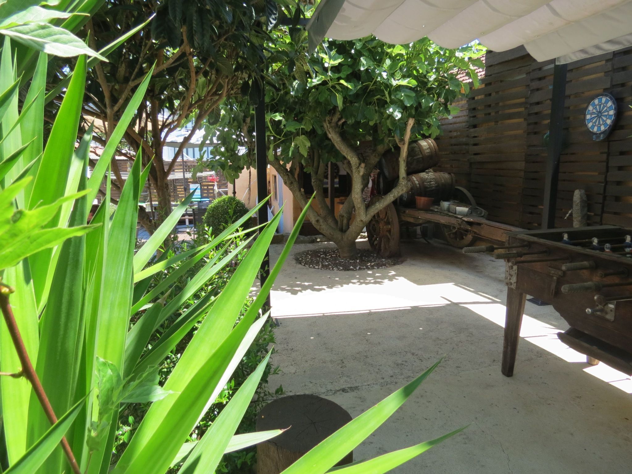 Un espace patio avec une table et des chaises en bois, entouré d’une végétation luxuriante et d’un arbre.