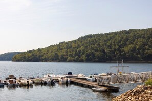 A dock with various boats and a forested hill in the background.