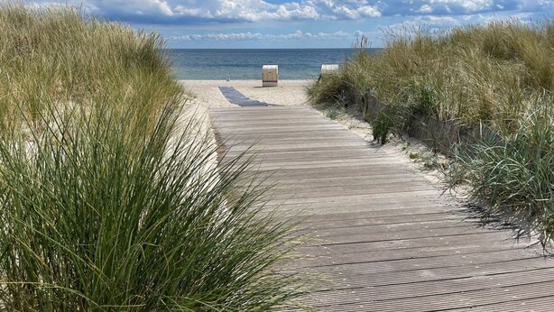 A wooden boardwalk leading to a beach with sand and grass on either side. - Helles Kustenhaus mit Sauna (Grossenbrode)