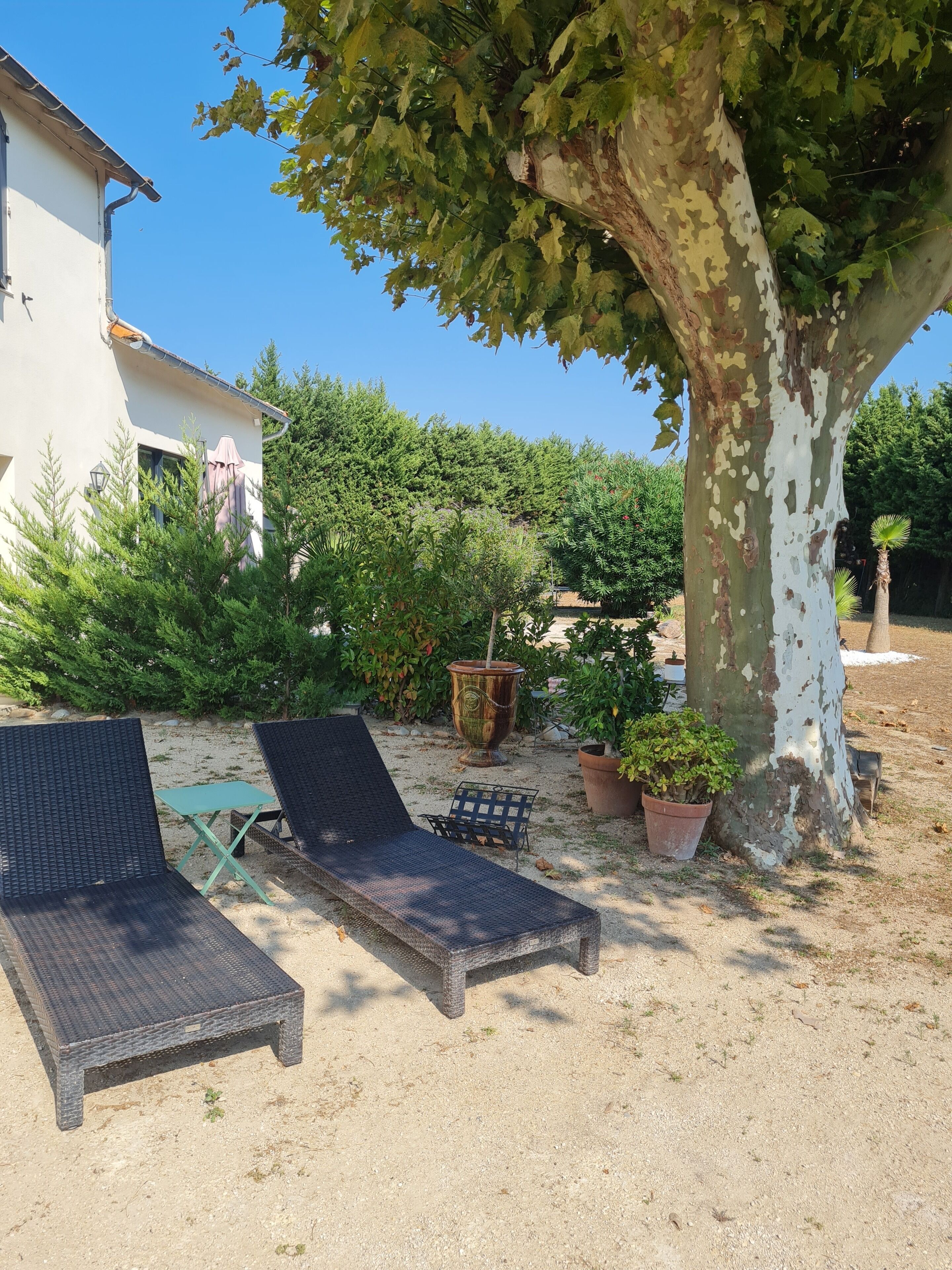 Terras