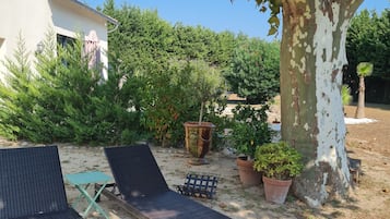 A garden with two lounge chairs, a large tree, and a building in the background.
