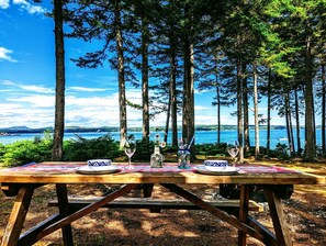 Una mesa de picnic dispuesta con platos, vasos y cubiertos, rodeada de árboles y con vistas a una masa de agua.